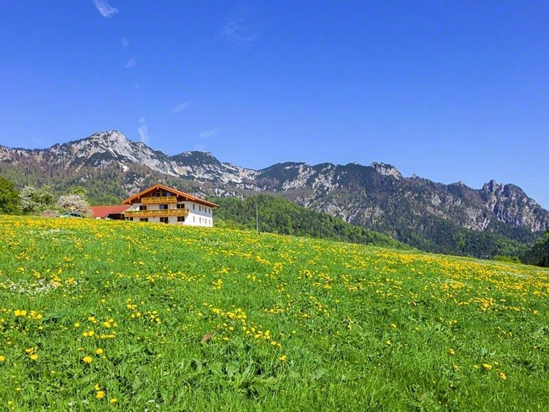 Ferienwohnung Roislerlehen Bischofswiesen Esterno foto